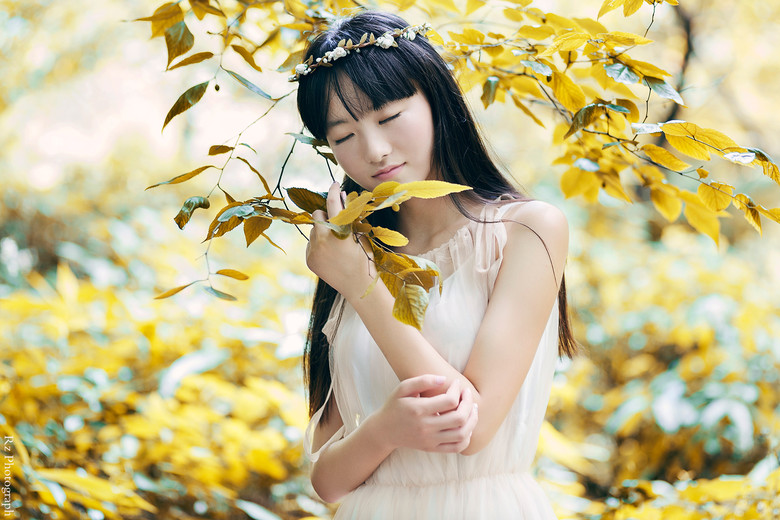 我的仲夏 你的芬芳