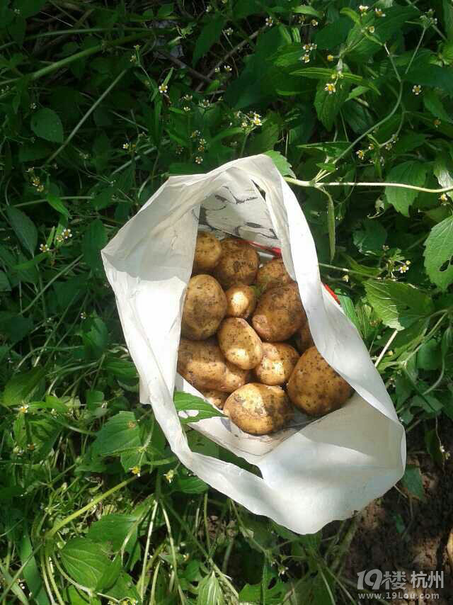 拥抱自然 共享成长-大自然亲子游活动回顾与感