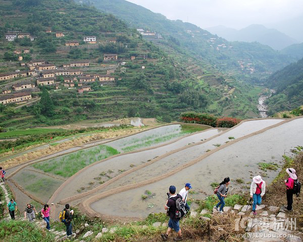 浙江最美村落之一遂昌.大柯古村;农家乐,避暑、