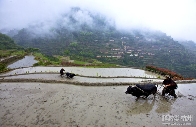 浙江最美村落之一遂昌.大柯古村;农家乐,避暑、