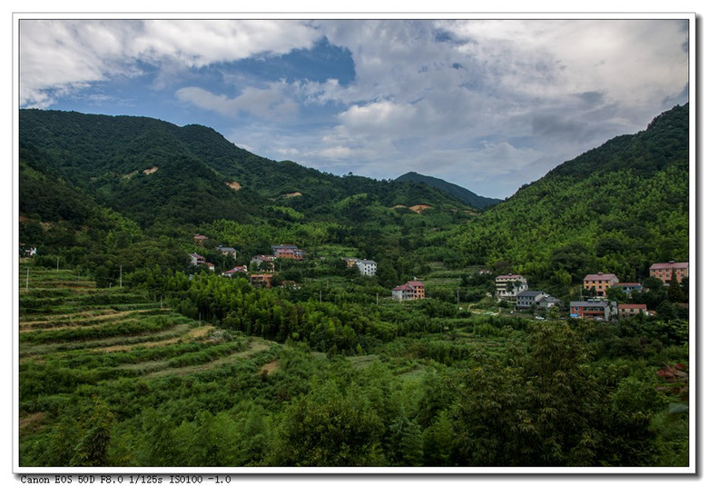 安吉董岭-风景照-19摄区-杭州19楼
