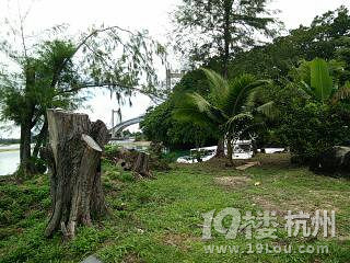 潛水勝地-帕勞游記（海量美圖，海底世界不斷更新）