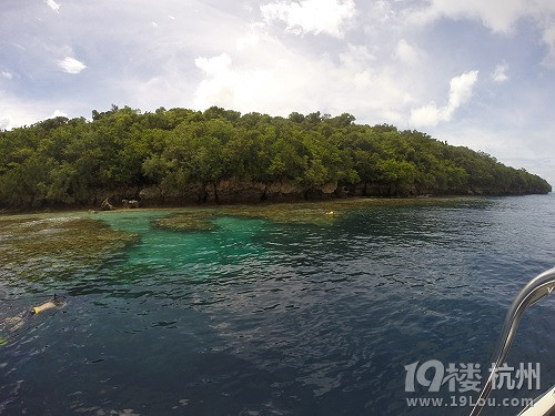 潛水勝地-帕勞游記（海量美圖，海底世界不斷更新）