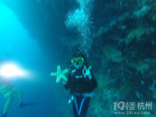 潛水勝地-帕勞游記（海量美圖，海底世界不斷更新）