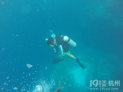 潛水勝地-帕勞游記（海量美圖，海底世界不斷更新）