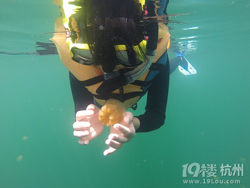 潛水勝地-帕勞游記（海量美圖，海底世界不斷更新）