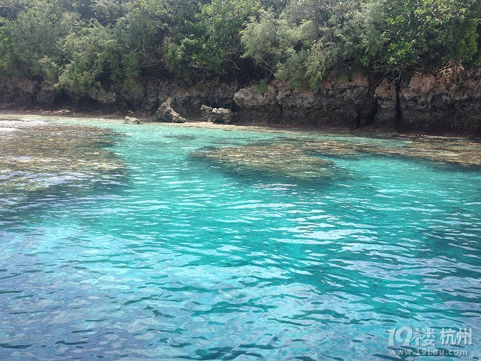 潛水勝地-帕勞游記（海量美圖，海底世界不斷更新）