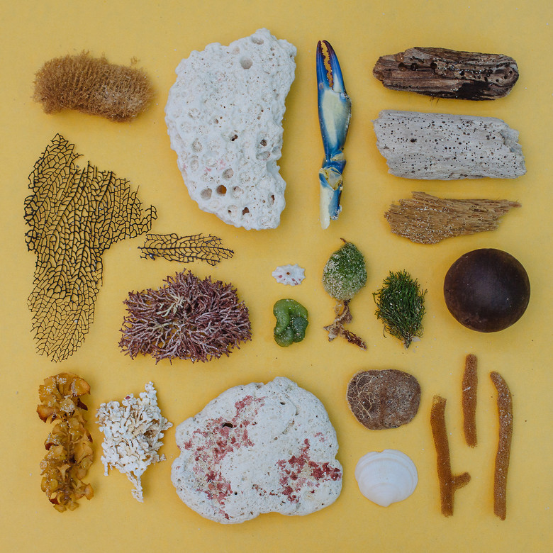 这位摄影师应该是患有强迫症吧-创意-养眼搞笑