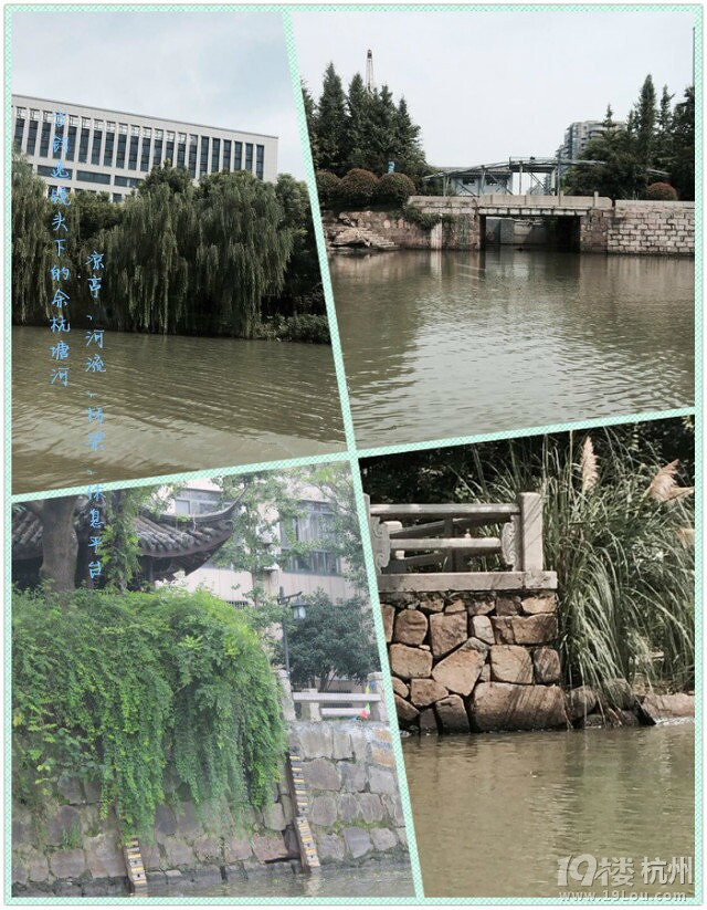 美麗的余杭塘河（三）------&quot;五水共治&quot;我們?cè)谛袆?dòng) 