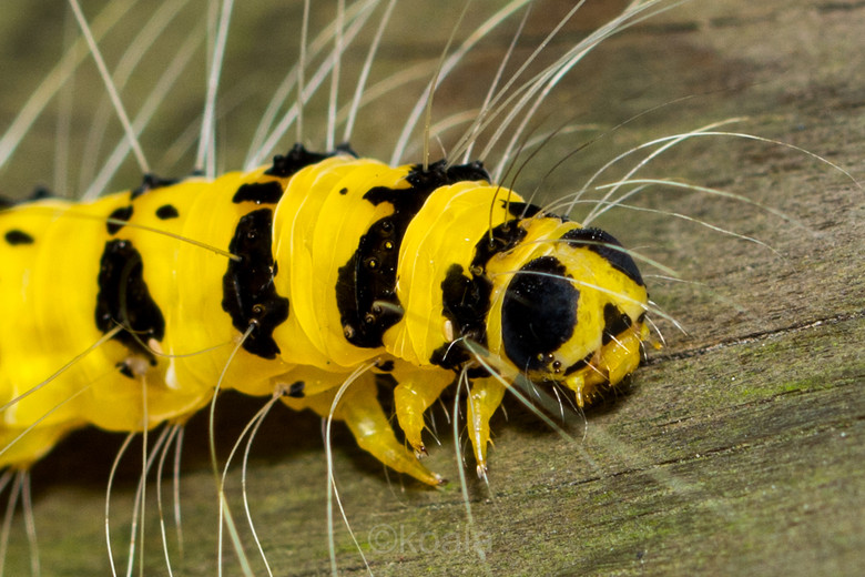 ΢ࡿOɵǰ~~~~~~~~~~~~