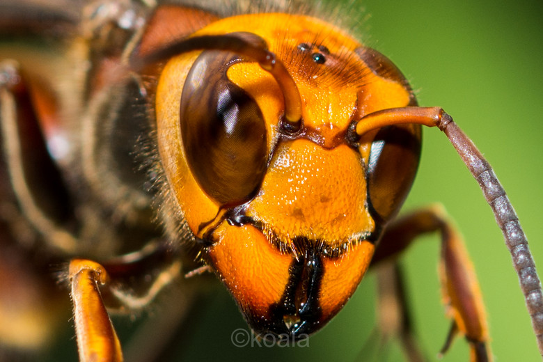 ΢ࡿKȥ~~~~~~~~~~~~~