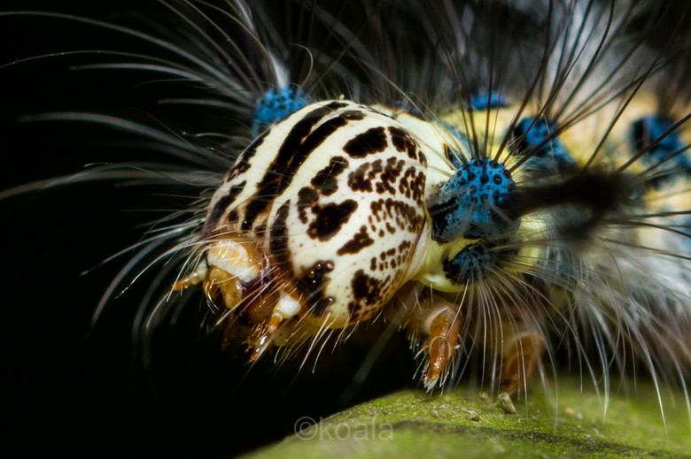 ΢ࡿOɵǰ~~~~~~~~~~~~