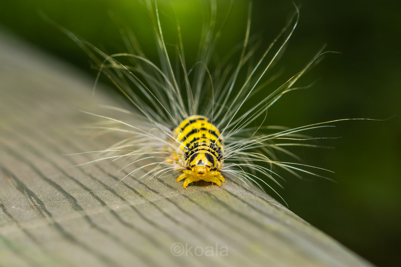 ΢ࡿOɵǰ~~~~~~~~~~~~