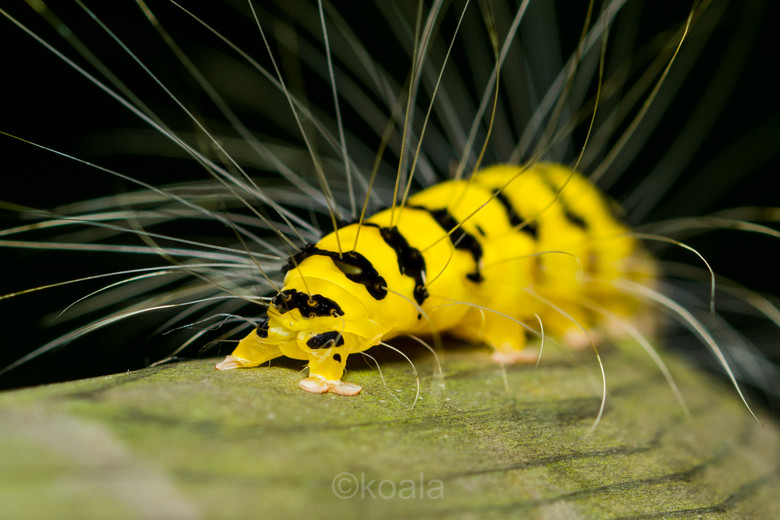 ΢ࡿOɵǰ~~~~~~~~~~~~