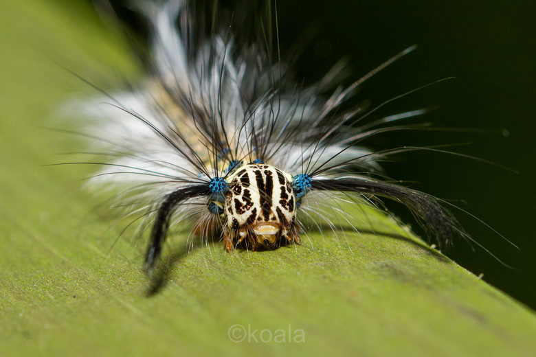 ΢ࡿOɵǰ~~~~~~~~~~~~