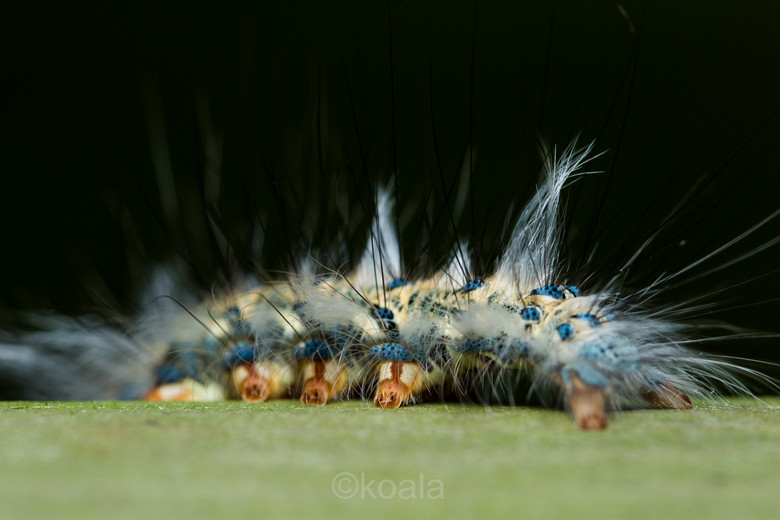 ΢ࡿOɵǰ~~~~~~~~~~~~