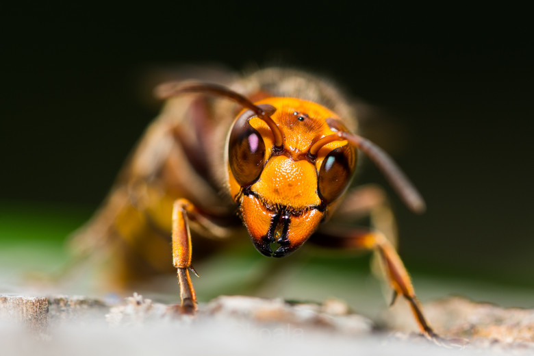 ΢ࡿKȥ~~~~~~~~~~~~~