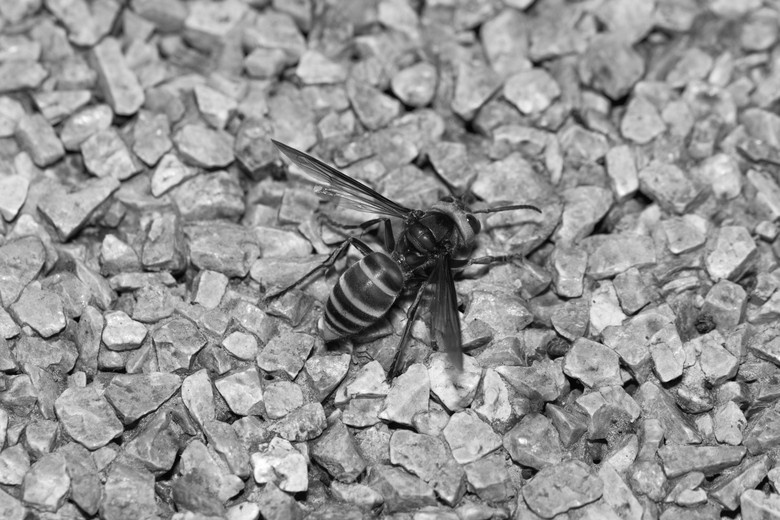 ΢ࡿKȥ~~~~~~~~~~~~~