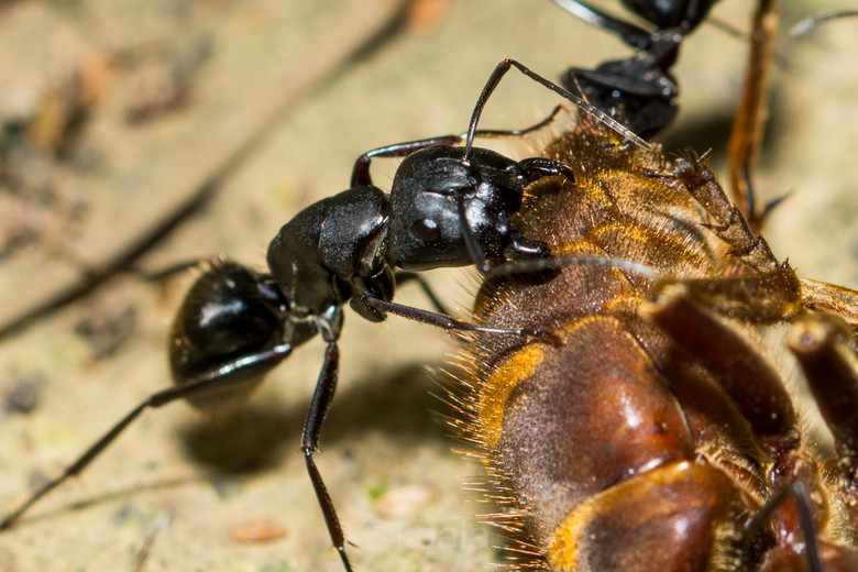 ΢ࡿKȥ~~~~~~~~~~~~~