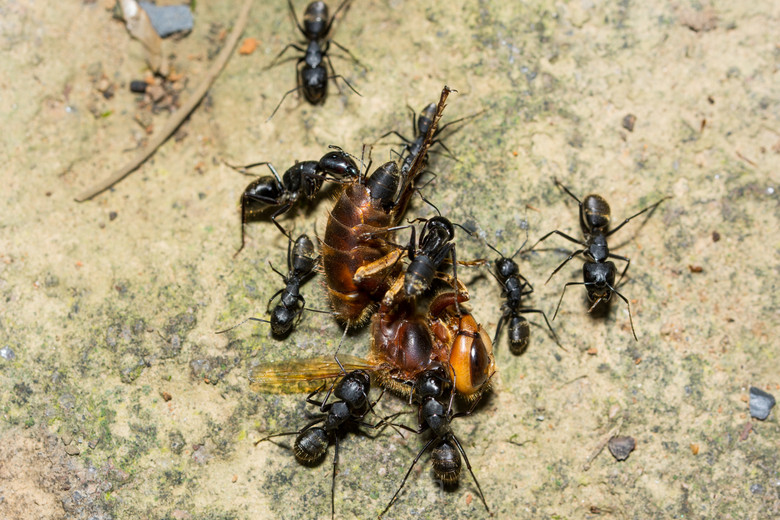 ΢ࡿKȥ~~~~~~~~~~~~~