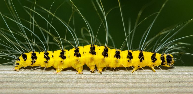 ΢ࡿOɵǰ~~~~~~~~~~~~