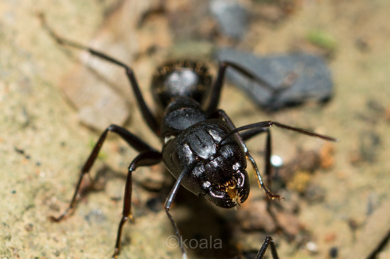 ΢ࡿKȥ~~~~~~~~~~~~~