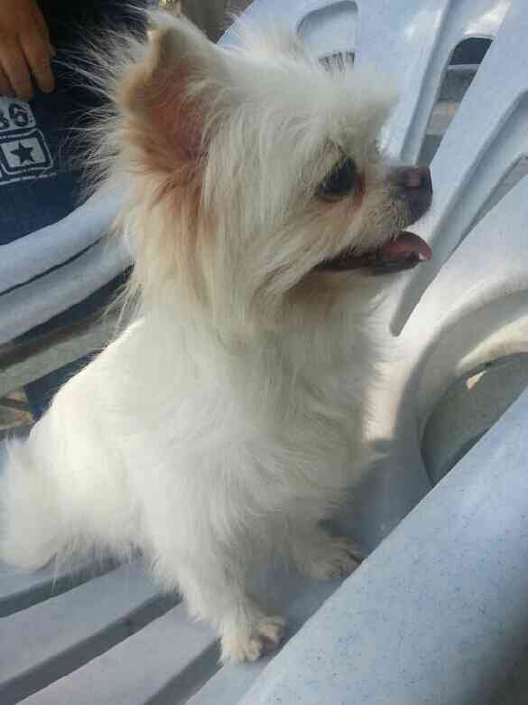 好期待的表情啊-手机随手拍-杭州19楼