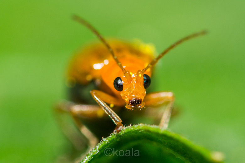 ΢ࡿ·߅r(nng)S~~~~~~~~~ 