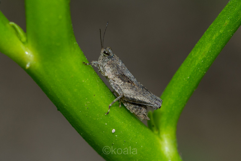 ΢ࡿ·߅r(nng)S~~~~~~~~~ 