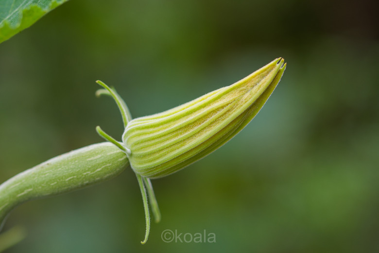 ΢ࡿ·߅r(nng)S~~~~~~~~~ 