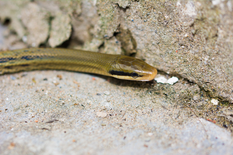 ΢ࡿ·߅r(nng)S~~~~~~~~~ 