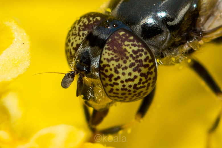 ΢ࡿ·߅r(nng)S~~~~~~~~~ 