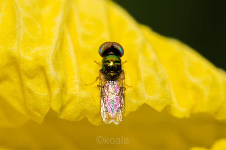 ΢ࡿ·߅r(nng)S~~~~~~~~~ 