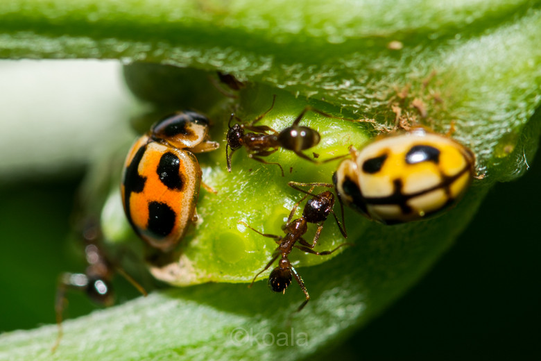 ΢ࡿ·߅r(nng)S~~~~~~~~~ 