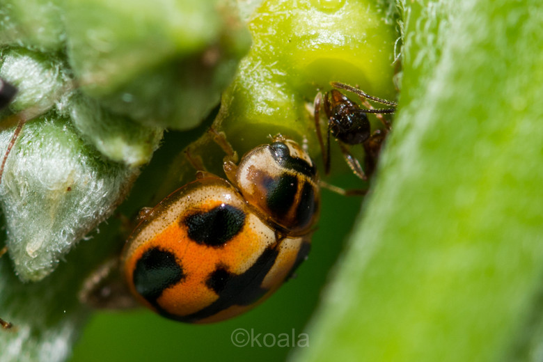 ΢ࡿ·߅r(nng)S~~~~~~~~~ 