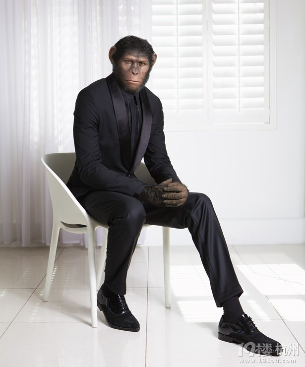 猩猩凯撒拍大片帅比男超模身着高级定制显绅士