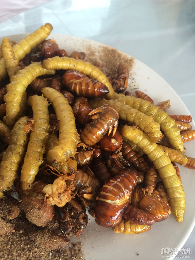 【旅行中的奇葩美食】说说都吃到过什么忘不了