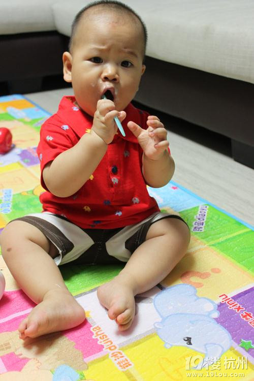 【苏宁红孩子松下宝贝星】+赫哥骑着小毛驴来