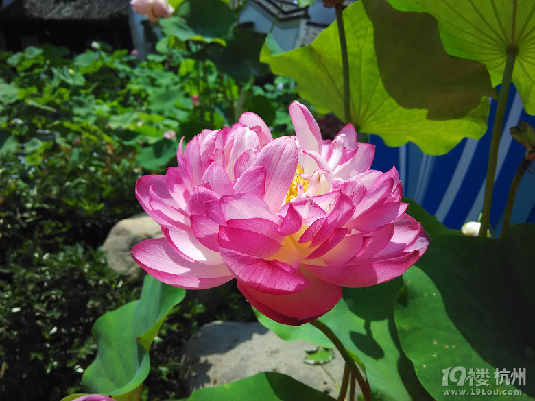 中老年下岗人员招聘求职专用贴!(PS:淘宝刷单