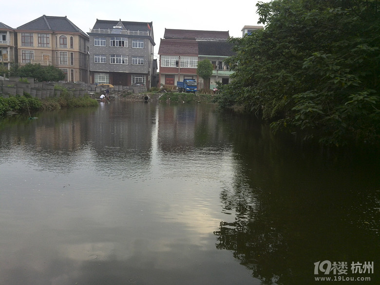 野生小鱼塘解毒-放飞心情-钓鱼俱乐部-杭州19