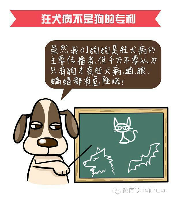 9.28世界狂犬病日·关注狂犬病-家有宠物-杭州