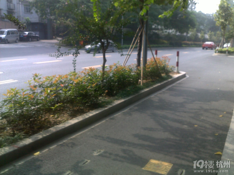 此路段,限速40,有测速?-我有话说-和交警互动-