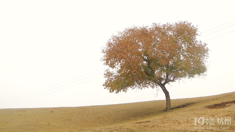 옷ͺáʮһHӉ