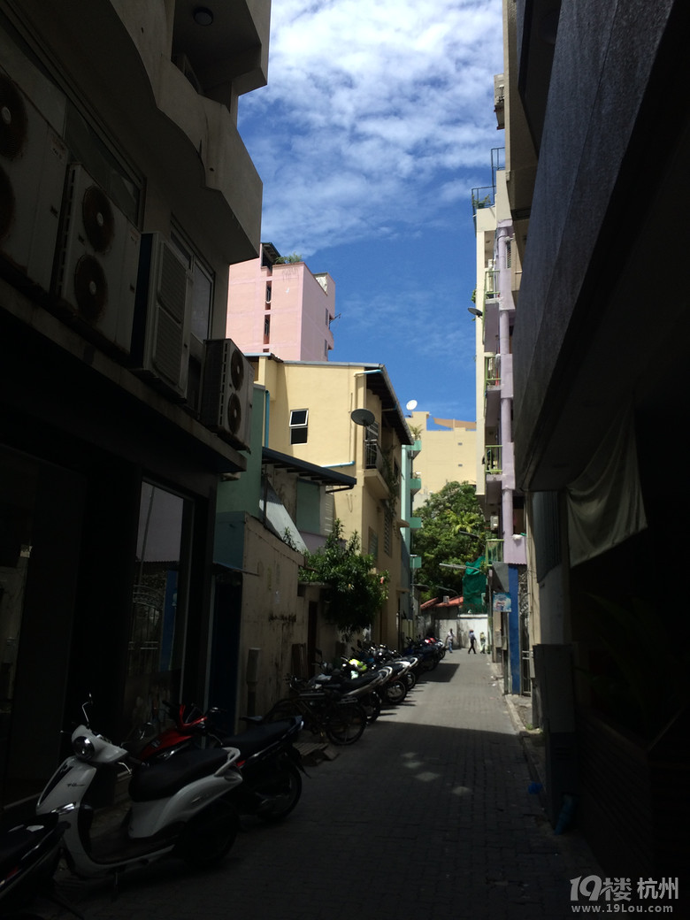 옷(l)ͺáRr(sh)l(f)׿Vittaveli ( ꮅ