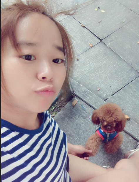 找茶杯贵宾犬迷你贵宾玩具泰迪发情急找帅哥急