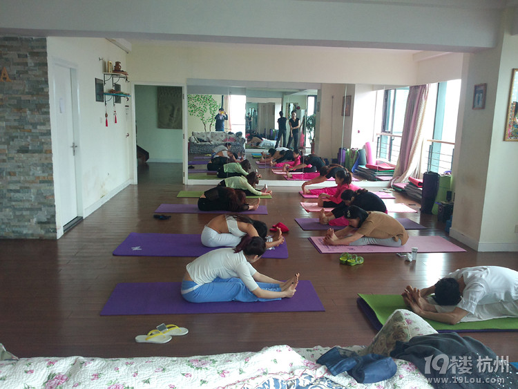 杭州瑜伽馆,妮玛瑜伽,您身边的专业瑜伽会馆 -