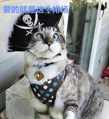 這個10月“婚”過頭了，頂級婚禮策劃師教你三招不得不看