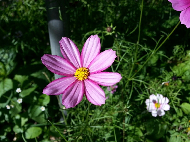 2014.10.18-19ˮ_ȪcԪ{