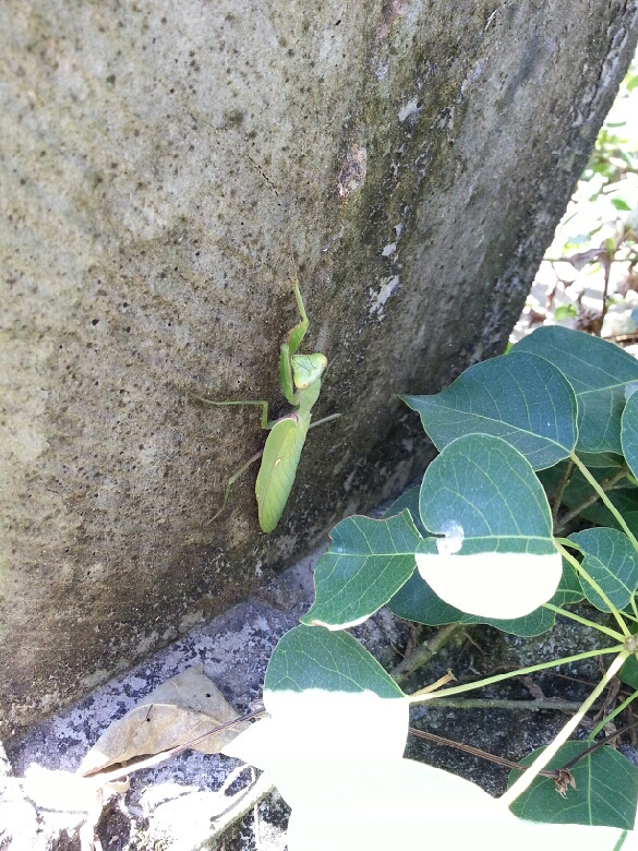 2014.10.18-19ˮ_ȪcԪ{