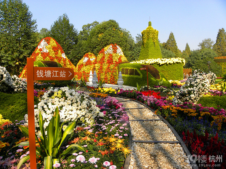 植物园的菊花展精致而大气-杭州旅游攻略-大杭